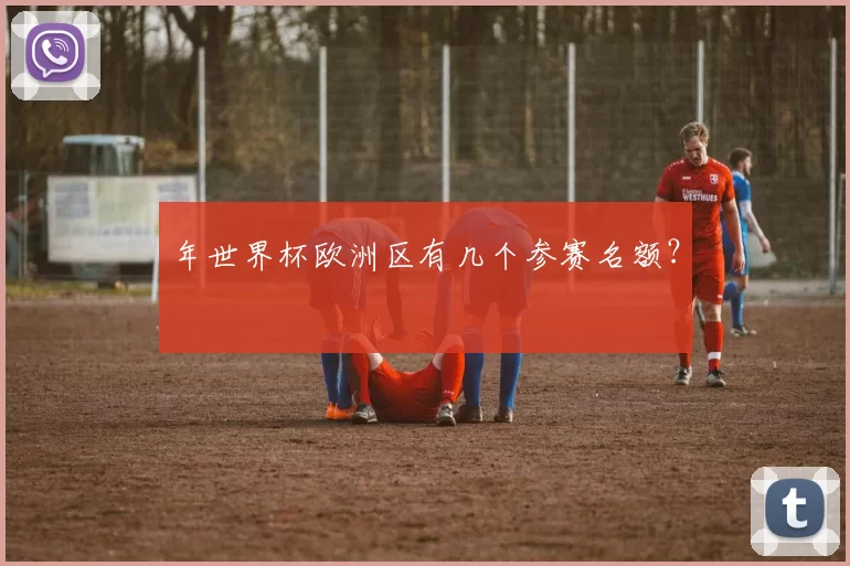 年世界杯欧洲区有几个参赛名额?