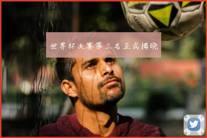 世界杯决赛第三名正式揭晓