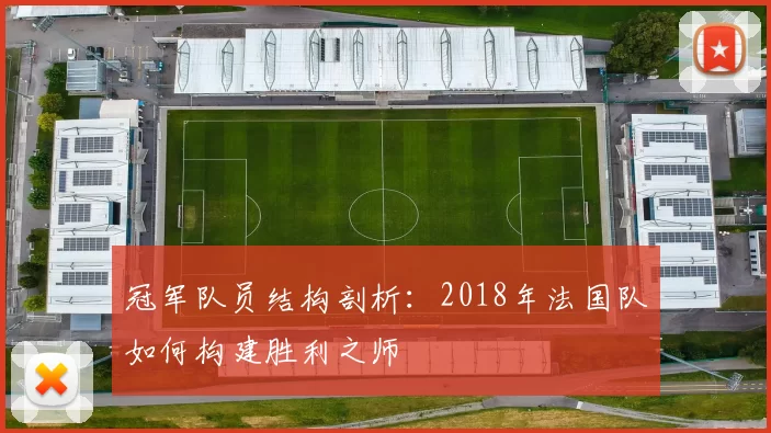 冠军队员结构剖析:2018年法国队如何构建胜利之师