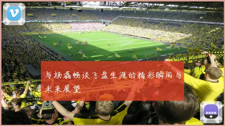 与杨磊畅谈飞盘生涯的精彩瞬间与未来展望