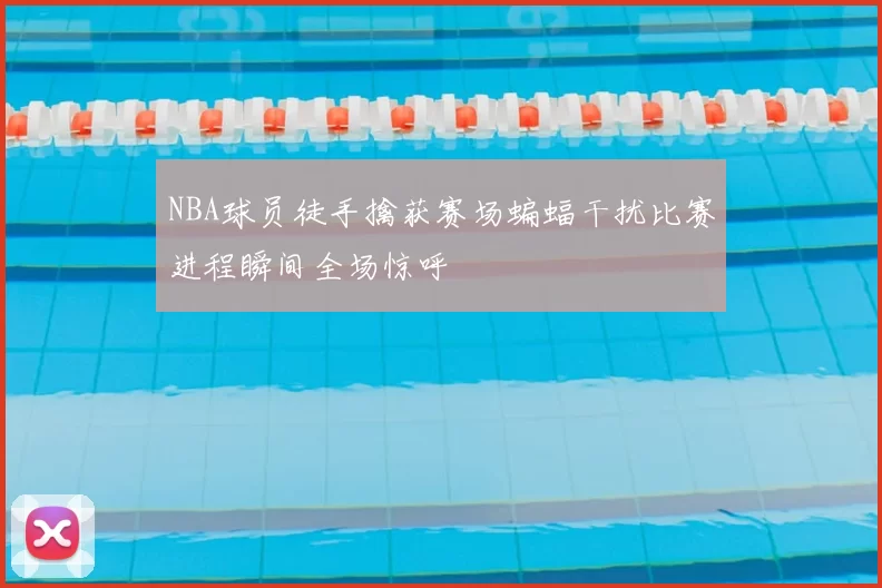 NBA球员徒手擒获赛场蝙蝠干扰比赛进程瞬间全场惊呼