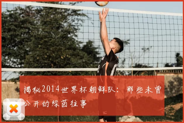 揭秘2014世界杯朝鲜队：那些未曾公开的绿茵往事