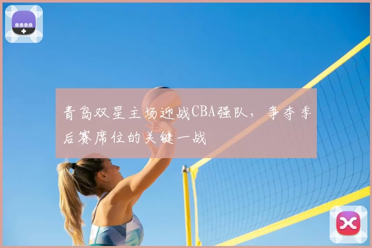 青岛双星主场迎战CBA强队,争夺季后赛席位的关键一战