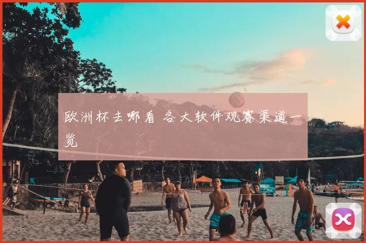 欧洲杯去哪看 各大软件观赛渠道一览