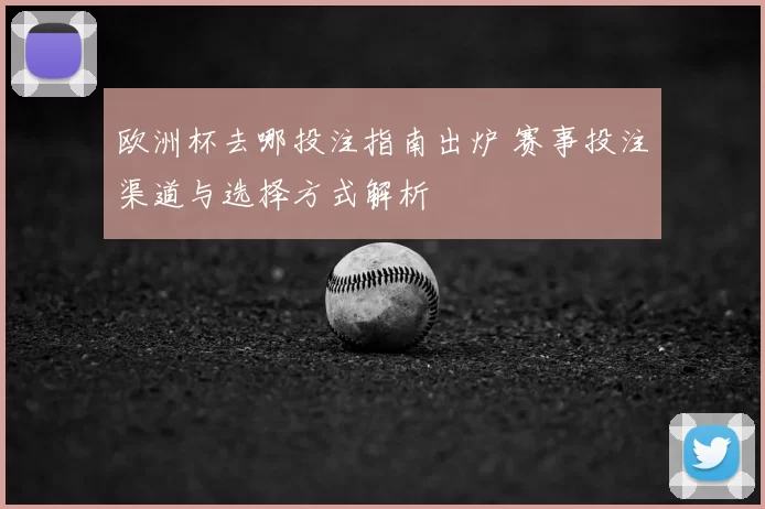 欧洲杯去哪投注指南出炉 赛事投注渠道与选择方式解析