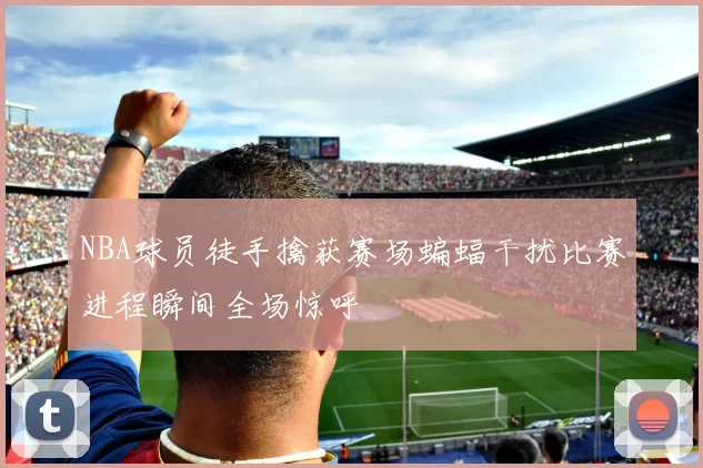 NBA球员徒手擒获赛场蝙蝠干扰比赛进程瞬间全场惊呼