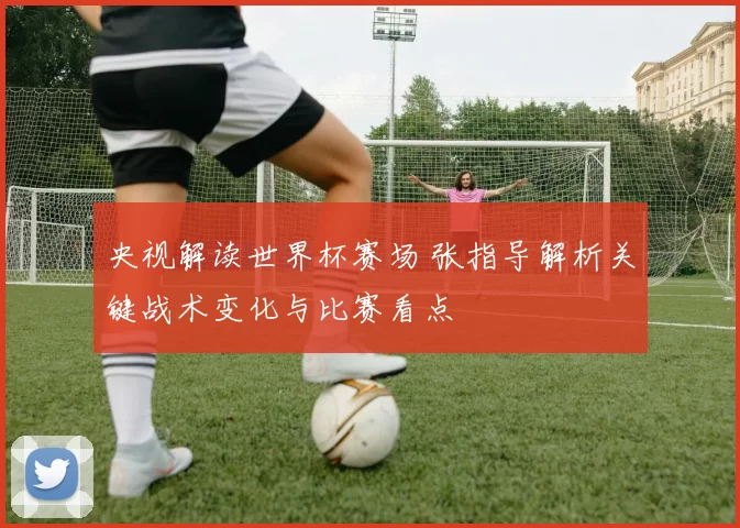 央视解读世界杯赛场 张指导解析关键战术变化与比赛看点