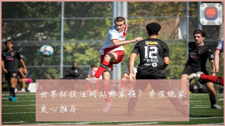 世界杯投注网站哪家强?资深玩家良心推荐