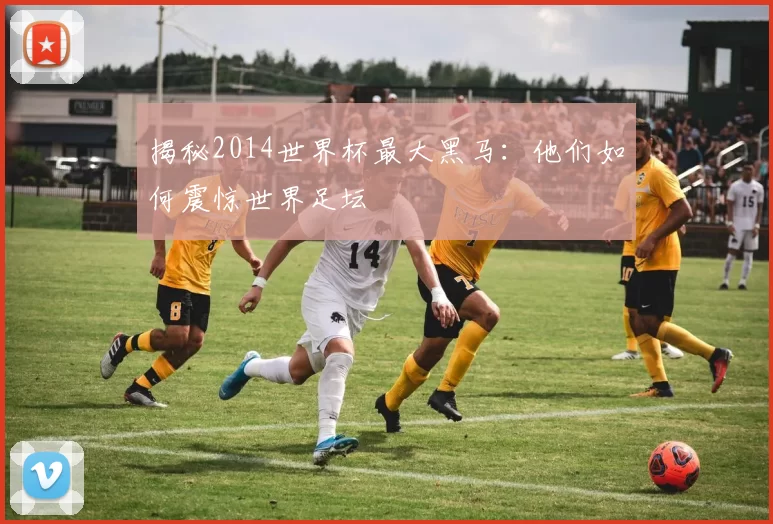 揭秘2014世界杯最大黑马:他们如何震惊世界足坛
