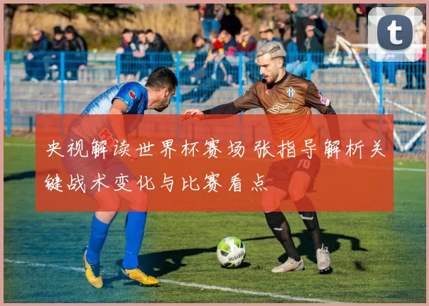 央视解读世界杯赛场 张指导解析关键战术变化与比赛看点