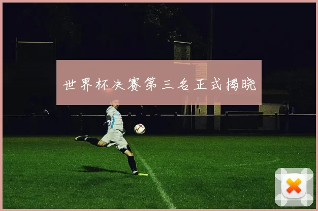 世界杯决赛第三名正式揭晓