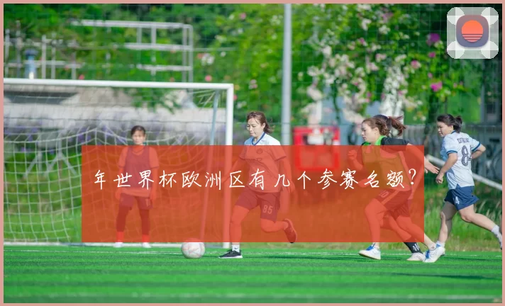 年世界杯欧洲区有几个参赛名额？