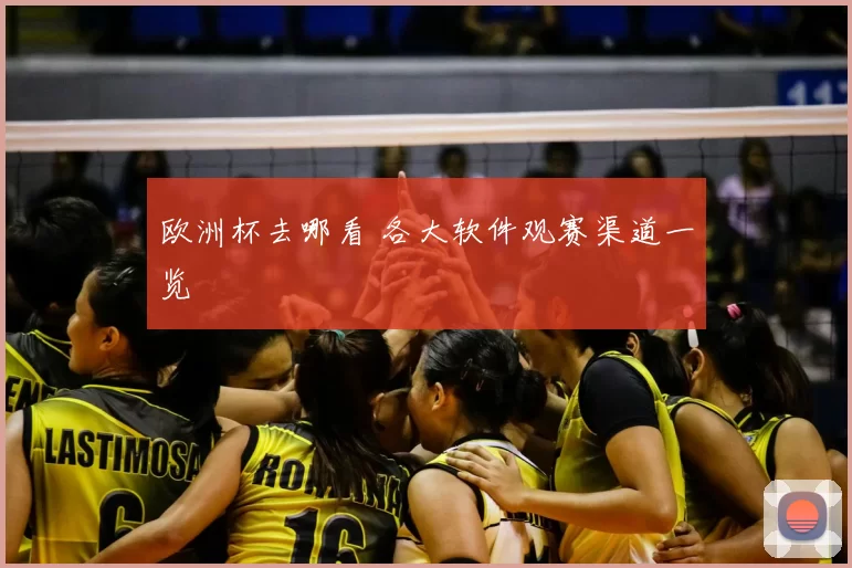 欧洲杯去哪看 各大软件观赛渠道一览