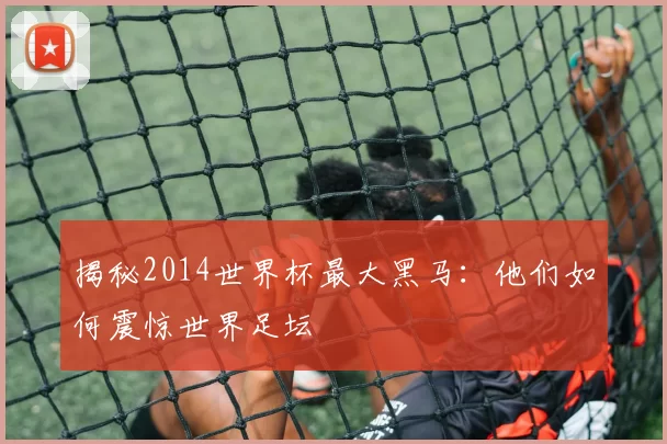 揭秘2014世界杯最大黑马:他们如何震惊世界足坛