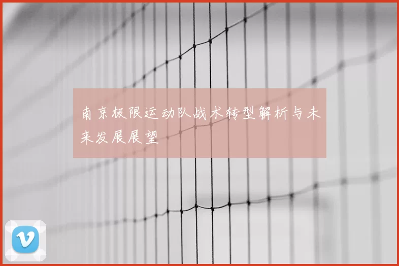 南京极限运动队战术转型解析与未来发展展望