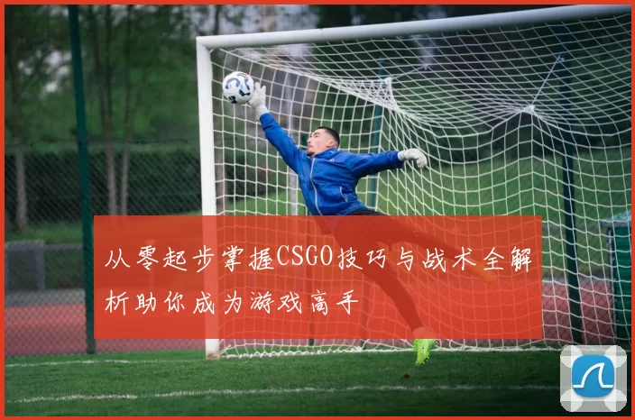 从零起步掌握CSGO技巧与战术全解析助你成为游戏高手